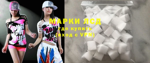 амф Гусев