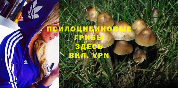 круглые Гусиноозёрск