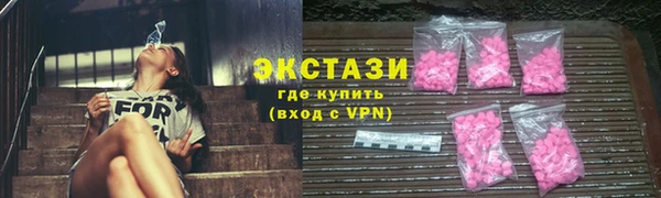 амф Гусев
