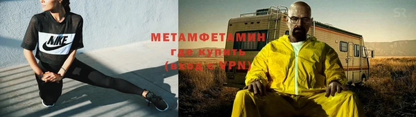 амф Гусев