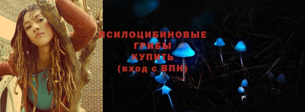 амф Гусев