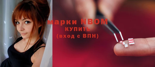 амф Гусев