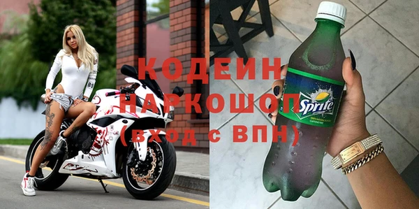 амф Гусев
