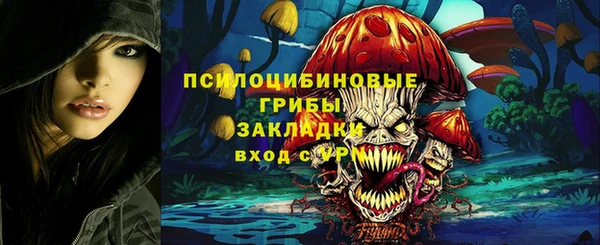амф Гусев