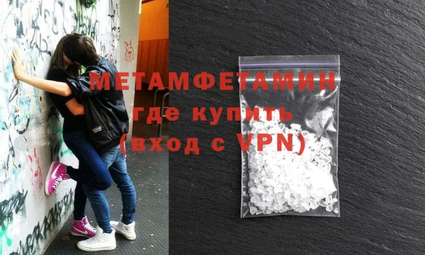 амф Гусев