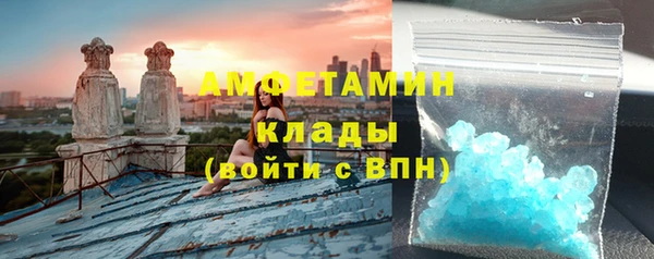 амф Гусев