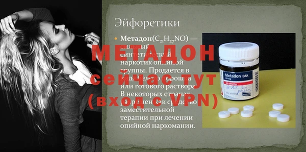 амф Гусев