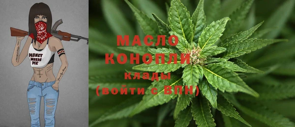 амф Гусев