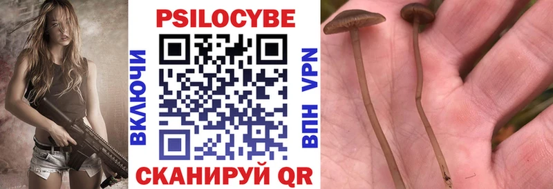 Псилоцибиновые грибы Magic Shrooms  продажа наркотиков  Невинномысск 